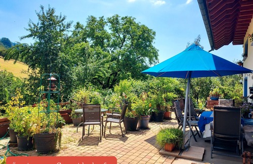 Zell am Harmersbach Apartment | Apartment 'Schwalbennest' with Shared Garden and Wi-Fi