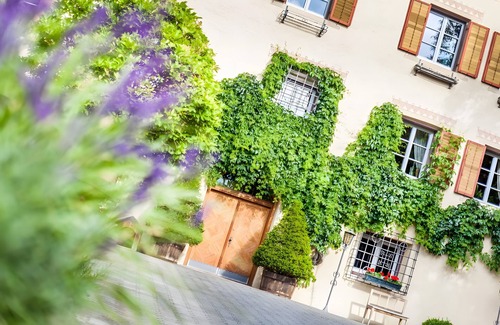 Silandro Apartment | Apartment 'Schnatzhof Typ A5' with Mountain View, Shared Pool and Wi-Fi
