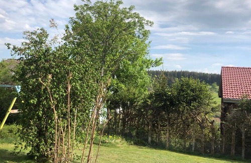 Unterkirnach Apartment | Apartment 'Schwarzwaldhirsch' with Private Terrace and Wi-Fi