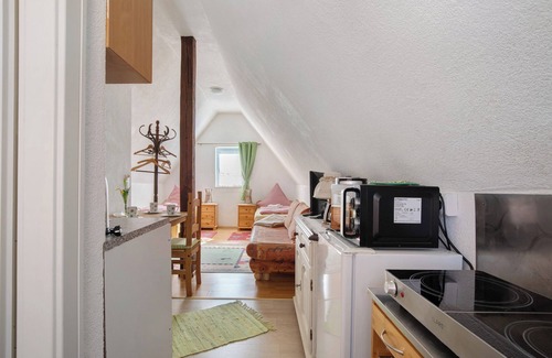 Grossheppach Apartment | Apartment 'Sila 3' with Shared Terrace and Wi-Fi