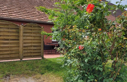 Manslagt Apartment | Apartment "Soeven" at the Anelis farm