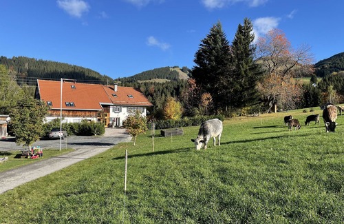 Jungholz Apartment | Apartment 'Sorgschrofen' with mountain view and large garden