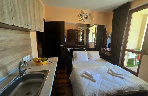 Sandanski Apartment | Apartment - Studio Cucetno