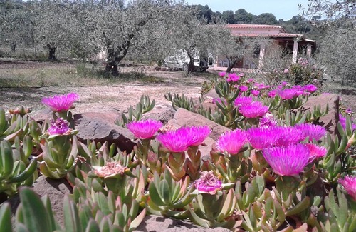 Orosei Apartment | APARTMENT VILLA DEGLI ULIVI AND ROSE 300m FROM THE SEA, MARINA DI OROSEI
