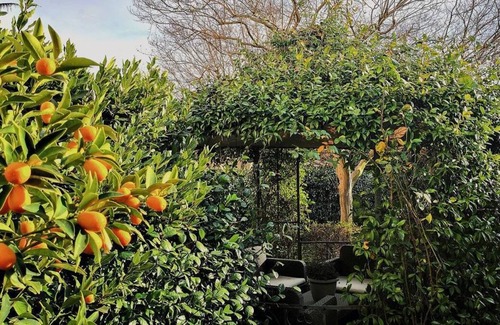 Tuscania Apartment | Apartment 'Villa Maria Ortensia' with Shared Garden