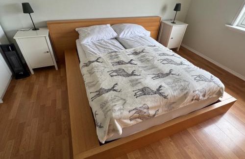 Alesund Apartment | Apartment with a beautiful view in the center of Ålesund