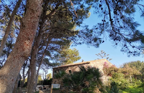 Spiaggia Grande House | apartment with pine forest