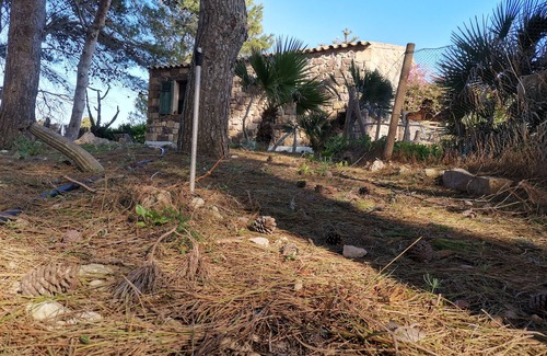 Spiaggia Grande House | apartment with pine forest