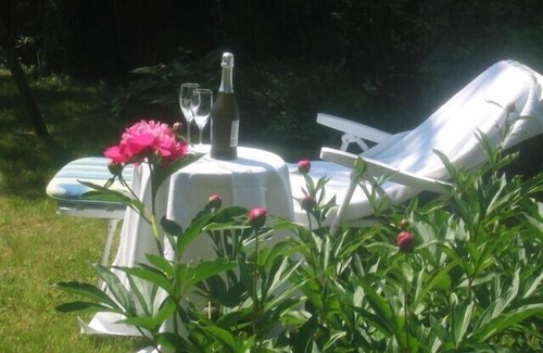 Eben am Achensee Apartment | Apartment with seaview, 2 bedrroms. own garden, 5 min. to lake