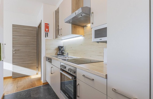 Mittersill Apartment | Apartment with terrace, 8 minutes from ski lift