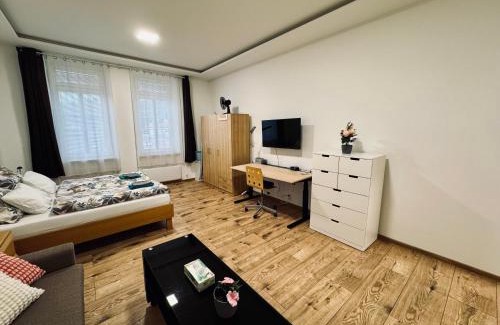 Brno-stred Apartment | Apartment with Workspace and TV