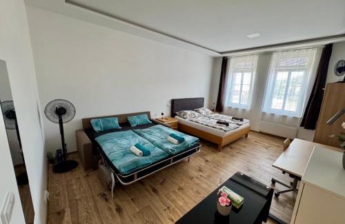 Brno-stred Apartment | Apartment with Workspace and TV