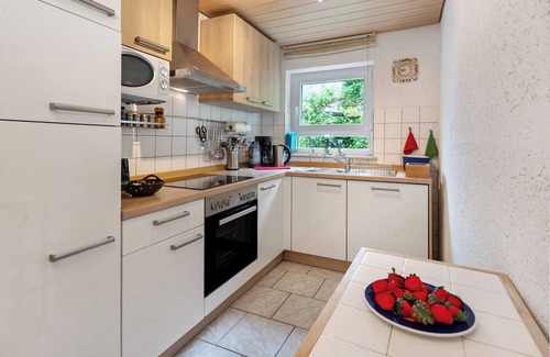 Forbach Apartment | Apartment 'Zapf' with Shared Terrace, Shared Garden and Wi-Fi
