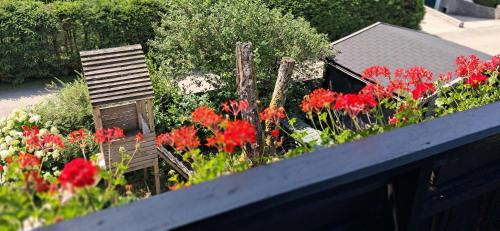 Bad Goisern Apartment | Apartmenthaus Hinterer
