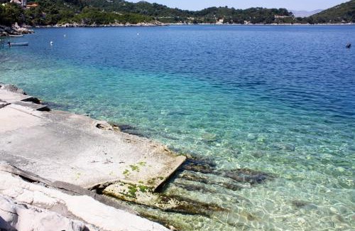 Sobra Apartment | Apartments by the sea Sobra, Mljet - 22327