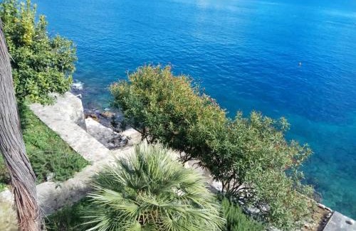 Sobra Apartment | Apartments by the sea Sobra, Mljet - 22329