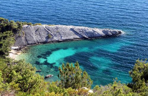 Zarace Apartment | Apartments by the sea Cove Zarace, Hvar - 20924