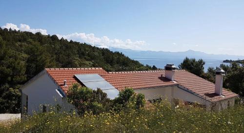 Zastrazisce Apartment | Apartments by the sea Cove Milna - Zastrazisce, Hvar - 17417