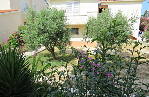 Zrce Apartment | Apartments EDO (20881-A1) - Novalja - island Pag