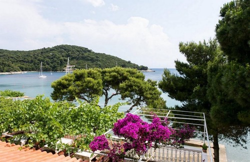 Saplunara Apartment | Apartments Franka Saplunara-One-Bedroom Apartment with Terrace and Sea View No1
