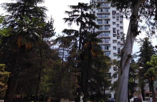Makhinjauri Apartment | Apartments on Makhinjauri