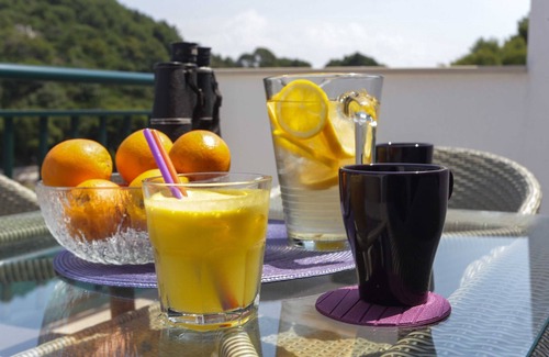 Saplunara Apartment | Apartments Posta - One-Bedroom Apartment with Terrace and Sea View - Apartman 5