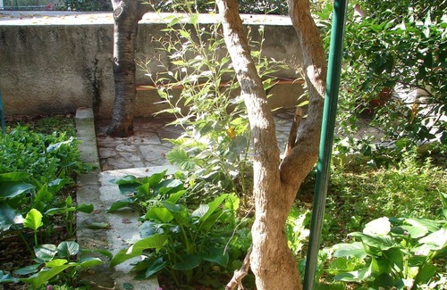 Vrpolje Apartment | Apartments Sini (10227-A2) - Makarska