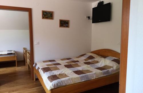 Kamnik Apartment | Apartments Trebušak