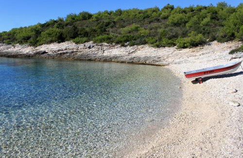 Rukavac Apartment | Apartments with a parking space Rukavac, Vis - 8898