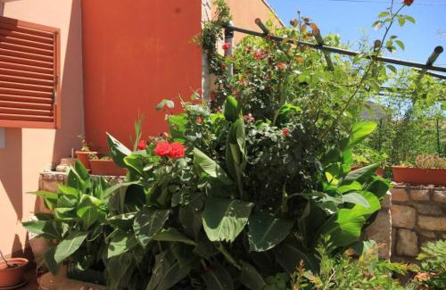 Cunski Apartment | Apartments with parking space Cunski, Losinj - 8010