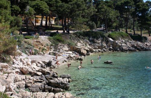 Suha Punta Apartment | Apartments with parking space Suha Punta, Rab - 17239