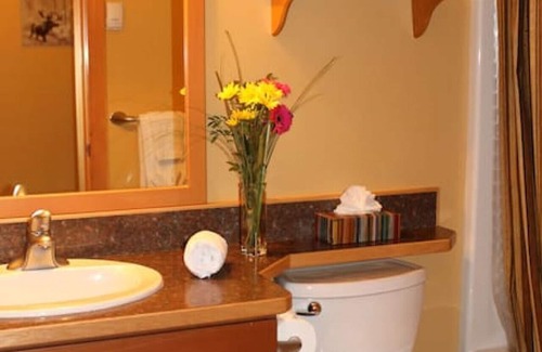 Okanagan-Similkameen Condo | Apex Mountain ~ Moose Lodge
