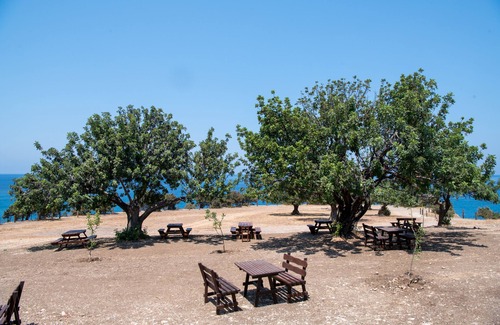 Neo Chorio RV Rental | Aphrodite Family Eco Camping
