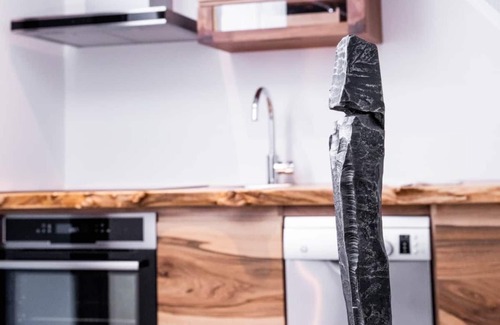 Kaysersberg-Vignoble Apartment | App'Art - Le A *, Loft 4 people in Kaysersberg - 1 bedroom, 1 sleeping area