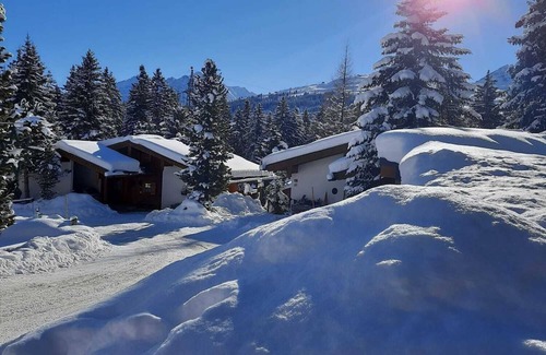 Konigsleiten Apartment | App Lyso, Hiking and enjoyment in the mountains of Konigsleiten