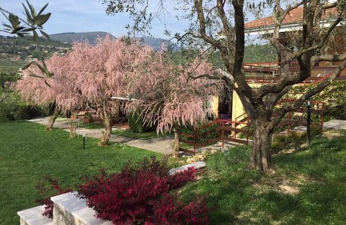 Garda Apartment | Appartamenti Le Rasole Montebaldo