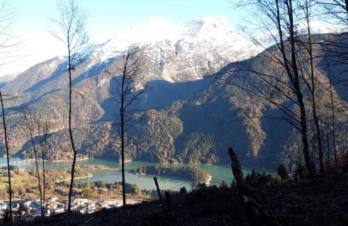 Pieve di Cadore Apartment | Appartamento Giada Pozzale di Pieve di Cadore(BL)