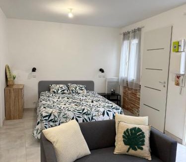 Saint-Orens-de-Gameville Apartment | Appartement climatisé Saint Orens