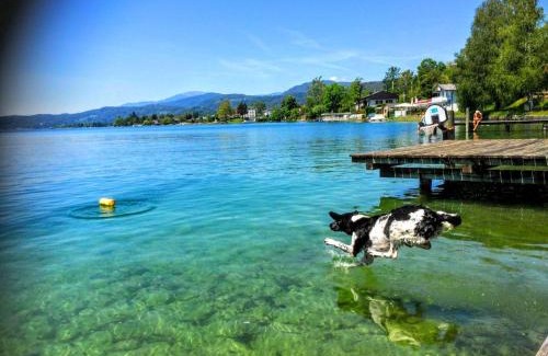 Poertschach am Woerthersee Apartment | Appartements Allmaier