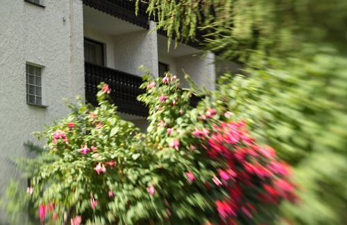 Bad Alexandersbad Apartment | Appartement (50qm) mit buchbarer Verpflegung in ländlicher Gegend
