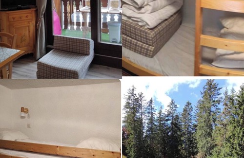 Mieussy Apartment | Appartement a la Montagne Wifi Internet Pour les Amoureux du Calme 🙏