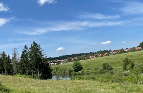Clausthal-Zellerfeld Apartment | Appartement Max