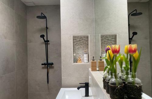 Municipality of Arnhem Apartment | Appartement Osso Arnhem