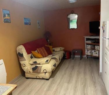 Lapte Apartment | Appartement rénové à Lapte avec terrasse 40 m²