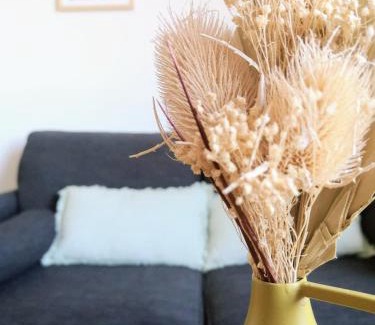 Auray Apartment | Appartement studio Cosy Centre-Ville