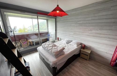 Laveissiere Apartment | Appartement T2 cabine avec balcon, accès piste, parking, animaux bienvenus - FR-1-787-69