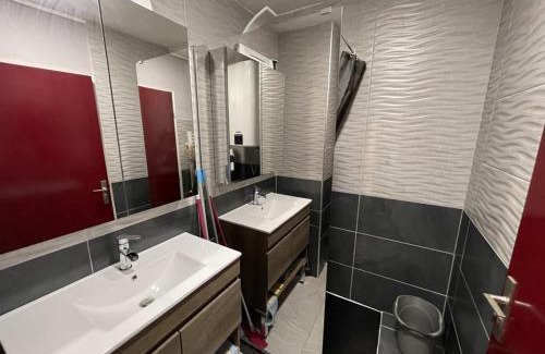 Laveissiere Apartment | Appartement T2 cabine avec balcon, accès piste, parking, animaux bienvenus - FR-1-787-69