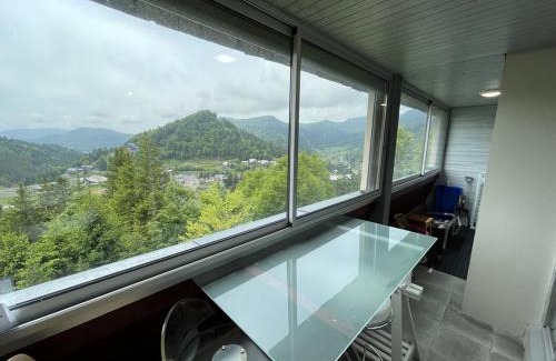 Laveissiere Apartment | Appartement T2 cabine avec balcon, accès piste, parking, animaux bienvenus - FR-1-787-69