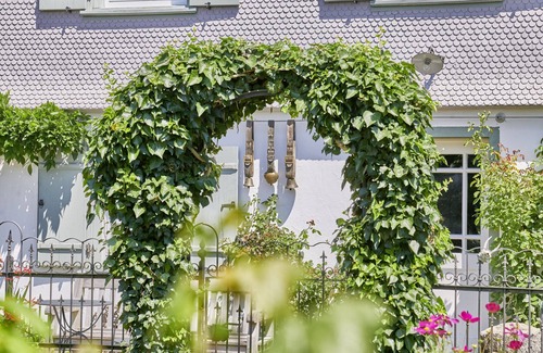 Wangen im Allgaeu Apartment | Appartement with Balcony and Wi-Fi