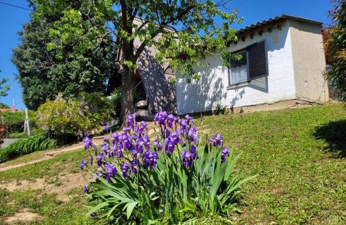 Zalakaros Ski Chalet | ApróLak Apartman Zalakaros